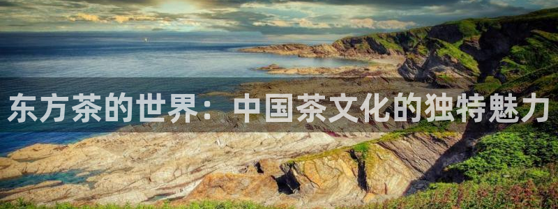 安立信T12测评