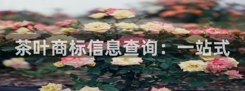 安信12是正轨网站吗