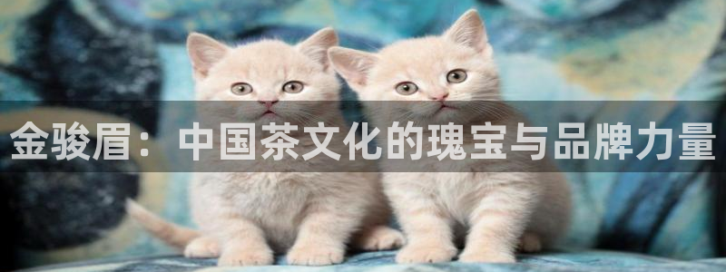 安信12娱乐平台
