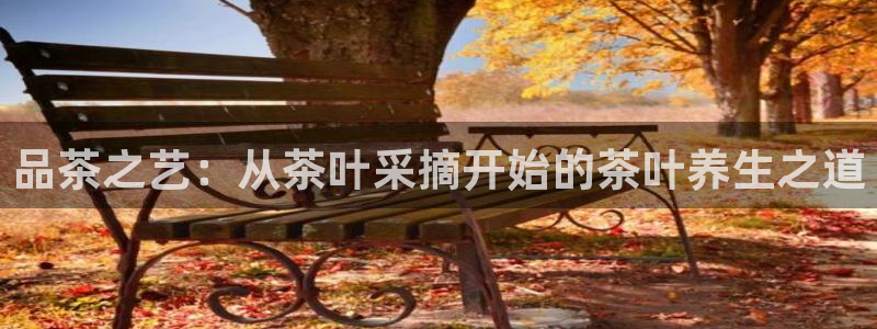 安信12级灯牌