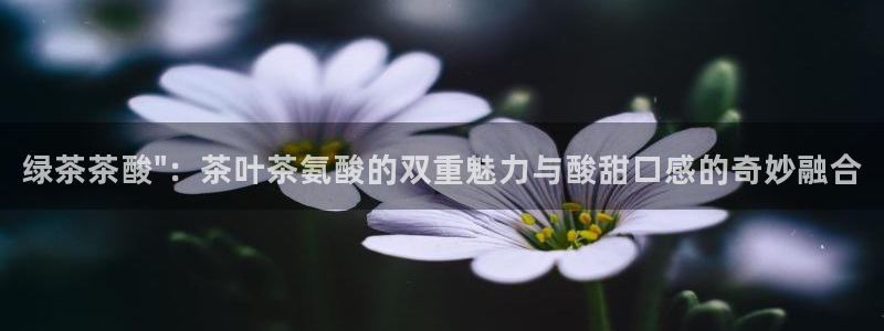 安信安翼 12账号