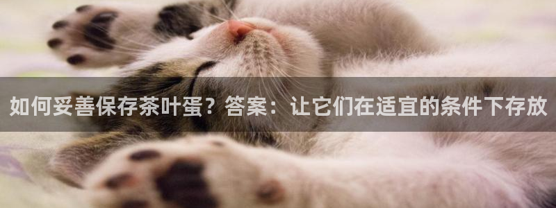 安信12是做什么