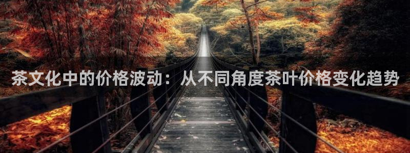 安信12位数资金号
