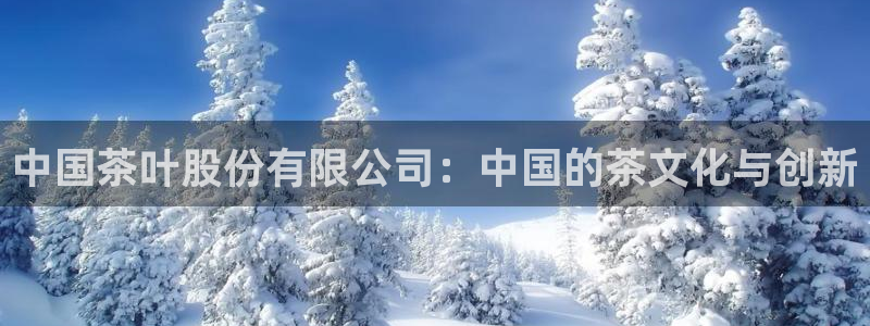 安信12是正轨网站吗
