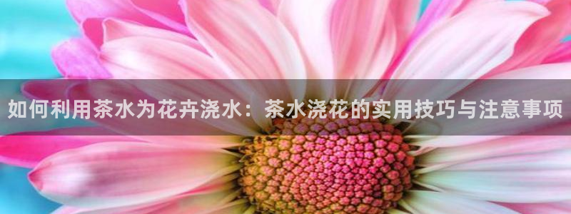 安信12主管