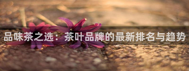 安信证券手机壳12