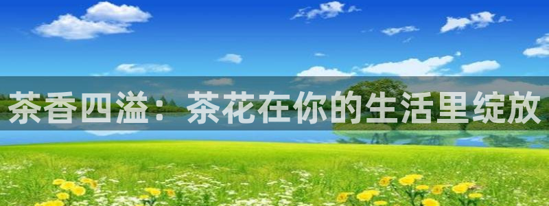 安信12赛车