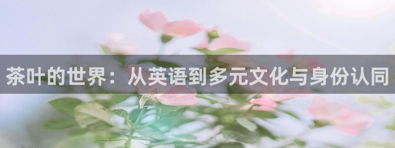 安信4娱乐去55 12