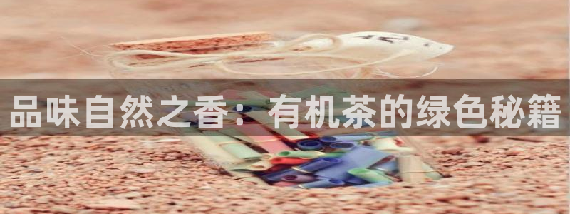 安信12是什么