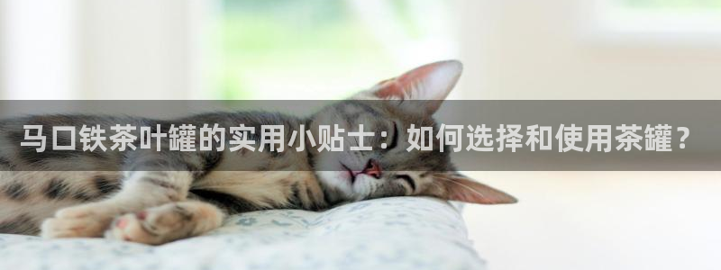 安信12官网qq