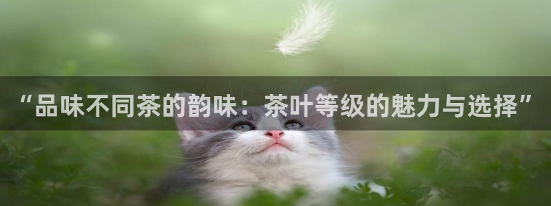 安信锐赢134号12月