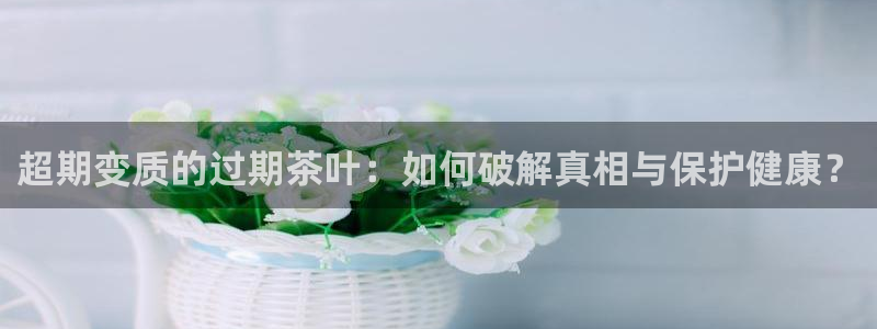 安信12是啥
