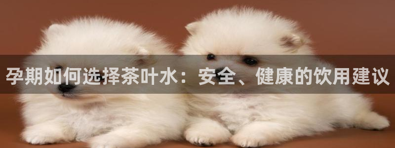 如何注销安信12软件