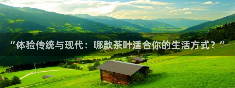 安信12是什么软件