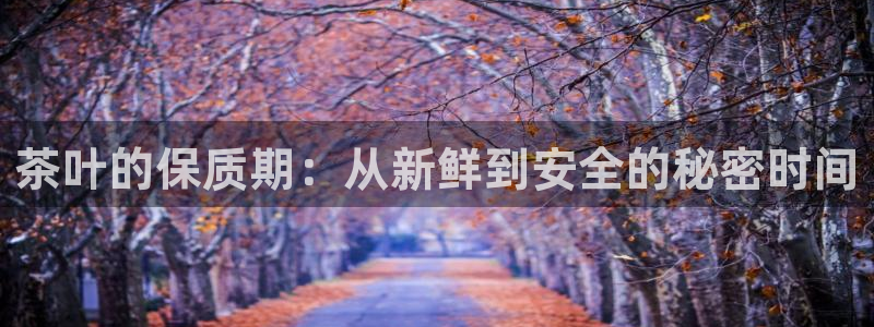 安信12平台下载