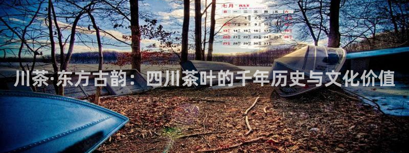 安信12位资金账号