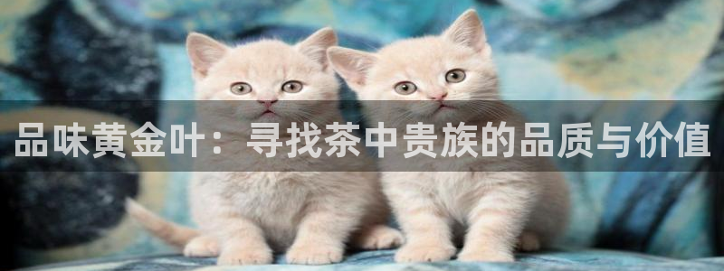 安信12官网qq