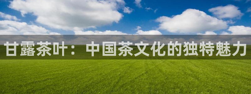 安信12如何开代理