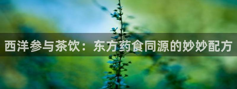 安信12平台可靠吗