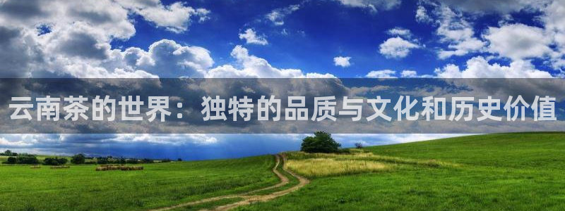 安信安翼 12账号