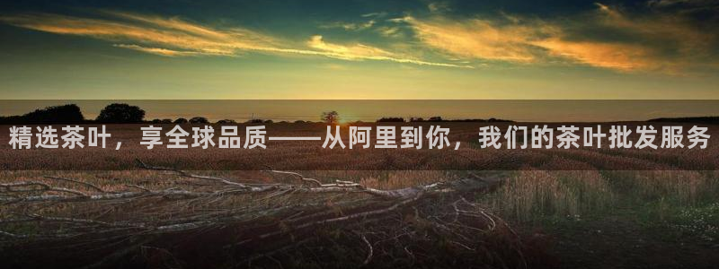 安信12平台怎么样