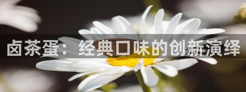 安信12彩票app下载