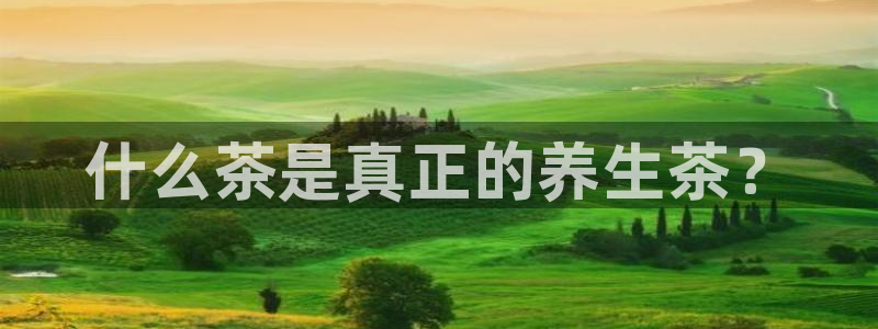 安信12位资金账号