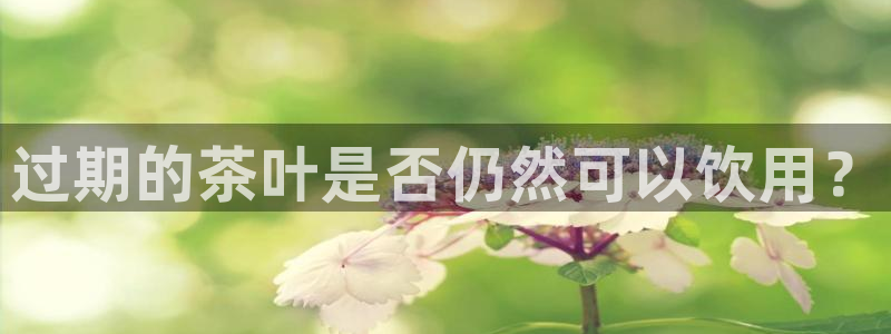 安信安盈12最新消息