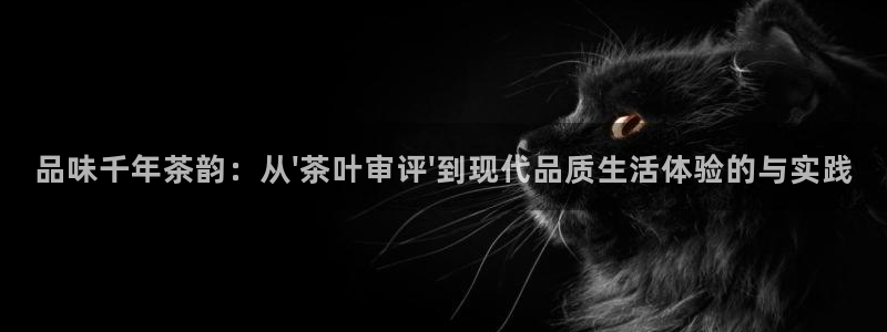 安信12平台介绍
