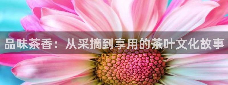 安信12是什么软件
