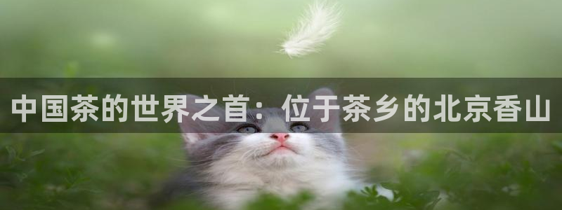 安信12娱乐开户