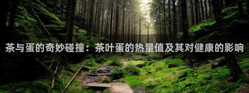 安信12如何开代理