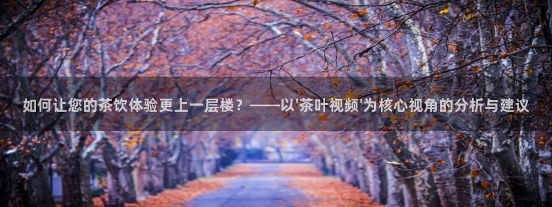 安信cwa12