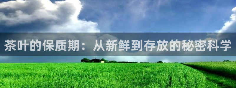 安信12位数资金号