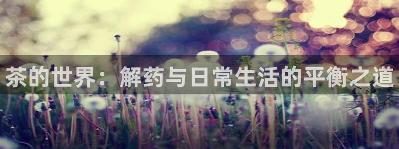 安信12是什么平台