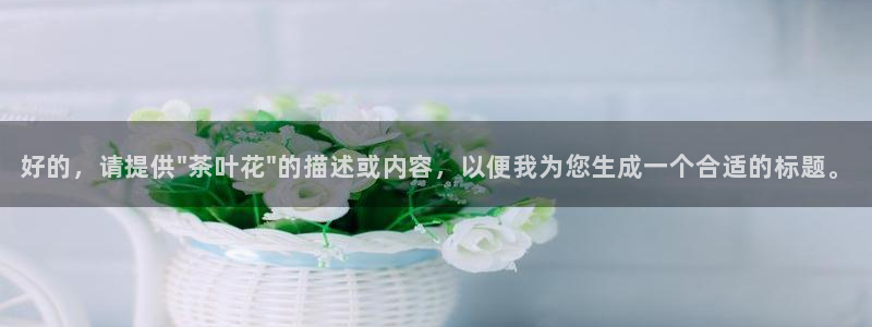 安信12平台介绍