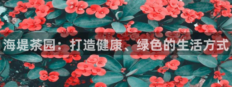 安信12平台