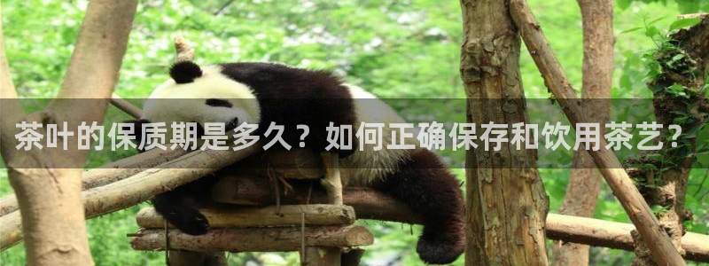 安信12是什么