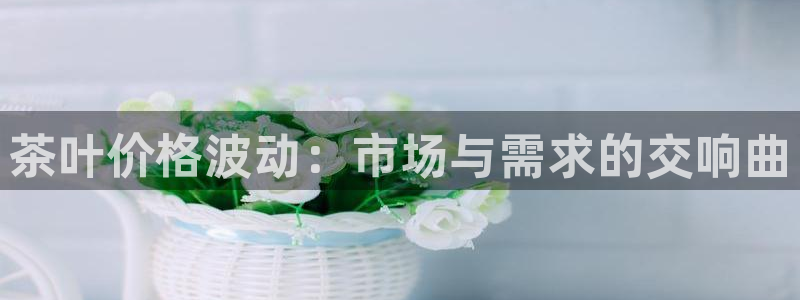 安信12级大众