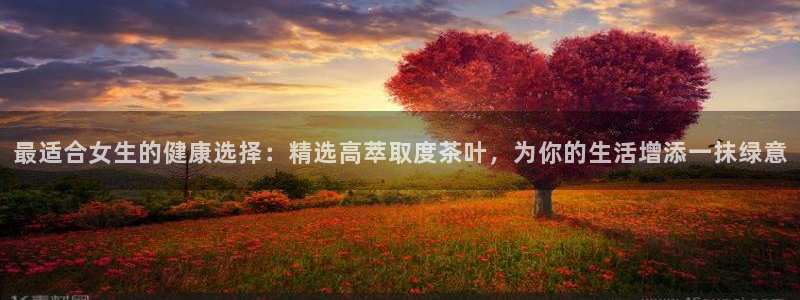 安信12包赔