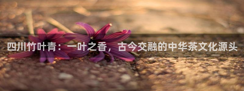 安信12平台