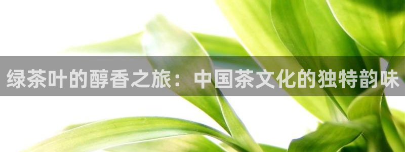 安信12是正规平台吗