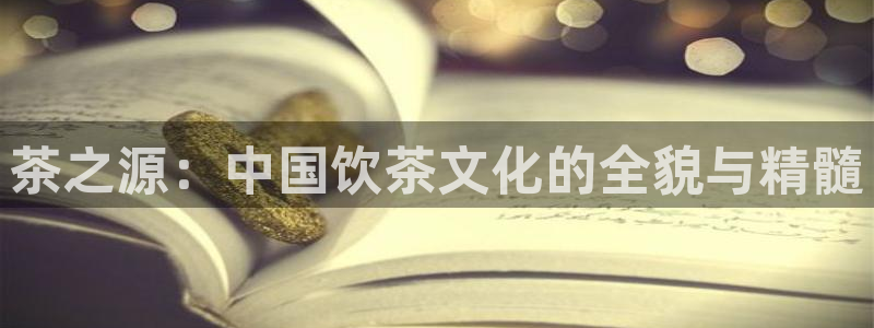安信证券 12位