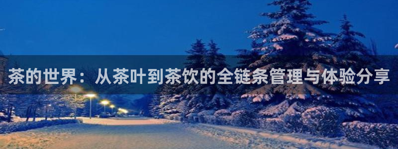 安信12包赔