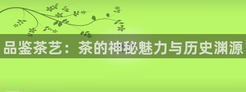 安信12官网