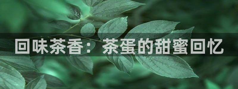 安卓12微信