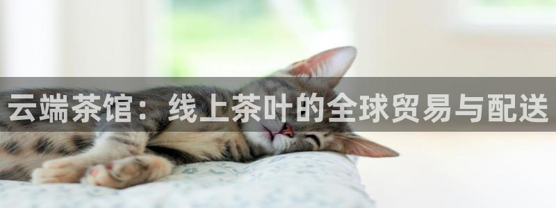 安信12周年