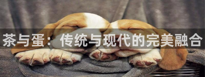 安信12周年