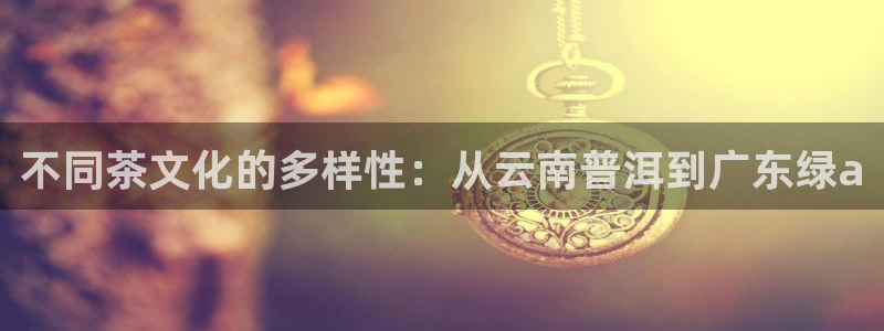 安信证券 12位