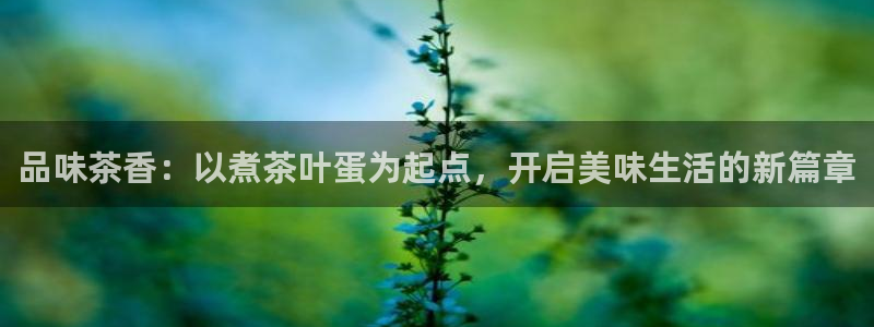 安信12彩票在线网址